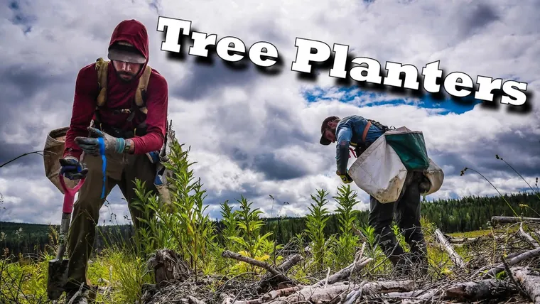Short documentary style video produced for a tree planting company, Nature’s Treasures, in Prince…